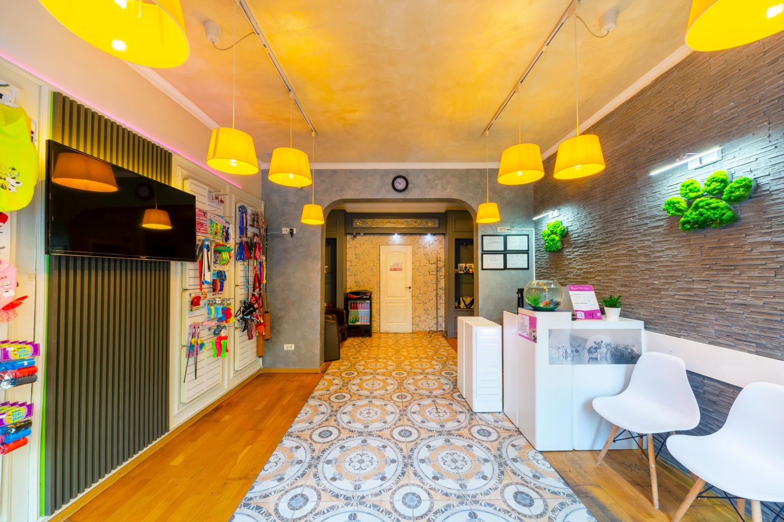 Recepția și interiorul salonului Royal Pet Spa