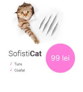 sofisticat preturi tuns pisici