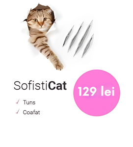 120 lei pachet pentru pisici
